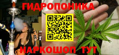 СК Абакан