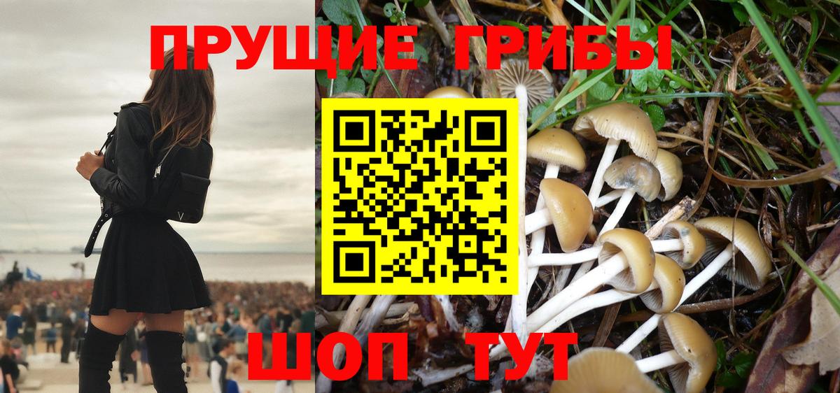 Псилоцибиновые грибы Psilocybe Анапа